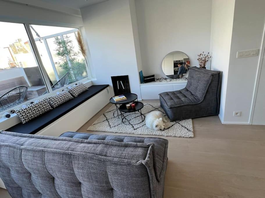 Beautiful Penthouse At 5Min Of Albert Place كنوك هايست المظهر الخارجي الصورة